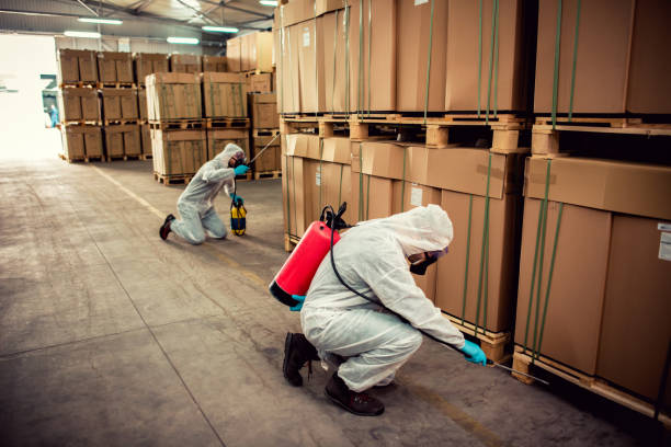 Best Exterminator Services  in Llano, TX