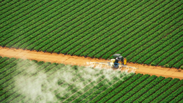 Best Pest Control Near Me  in Llano, TX