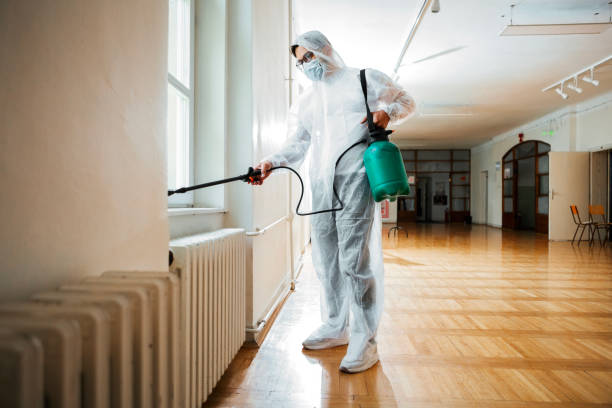 Best Affordable Pest Control Services  in Llano, TX