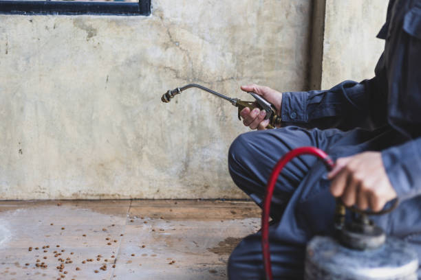 Best Cockroach Control Services  in Llano, TX